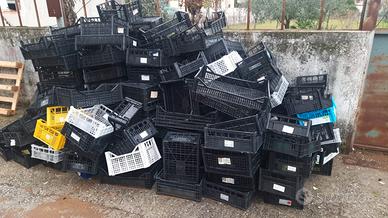 Cassette frutta e verdura