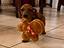 Immagine 6