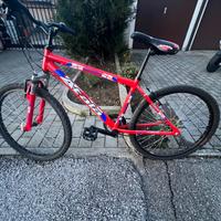 Bicicletta mountain bike