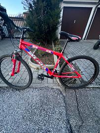 Bicicletta mountain bike