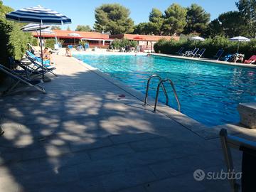 Casa Vacanze Marina di Bibbona LI, da 270E 7g