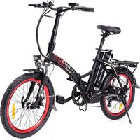 e-bike Argento Piuma + Bici Elettrica Pieghevole