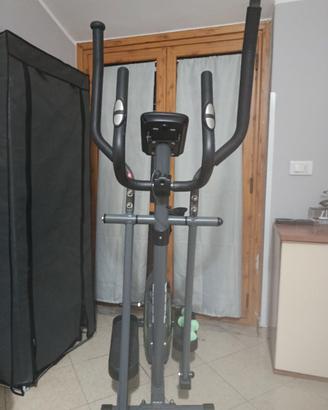 Palestra