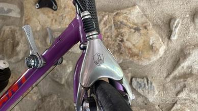 Freni campagnolo