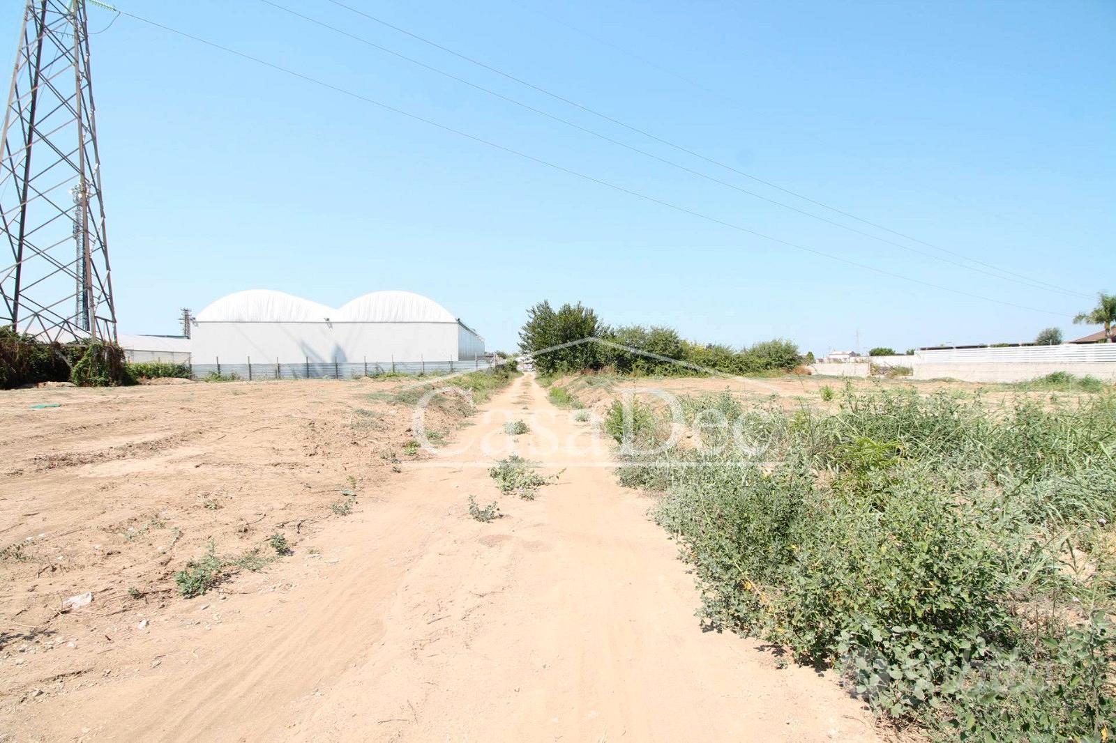 Terreno agricolo a Villa Literno - Vista 5