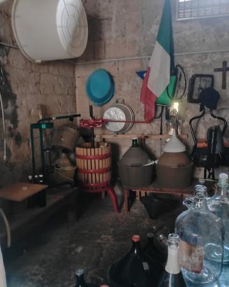 vinificazione