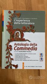 Libro Superiori Divina Commedia