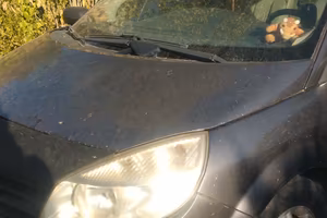 automobile  megane scenic