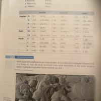 Lezioni private di Greco antico e Latino