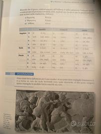 Lezioni private di Greco antico e Latino