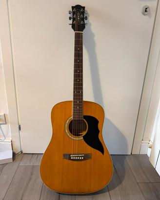 Chitarra Acustica EKO Ranger 6