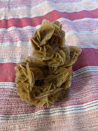 Rosa del deserto