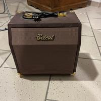 Amplificatore Belcat
