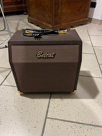 Amplificatore Belcat