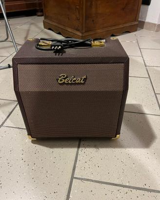 Amplificatore Belcat