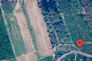 Terreno 25.000 mq agrumeto e fabbricato