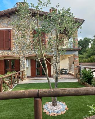 Saturnia house