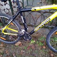 bici MTB Scott e bici da corsa