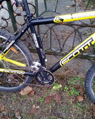 bici MTB Scott e bici da corsa