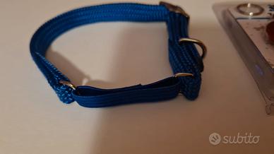 collarino con targhetta nuova