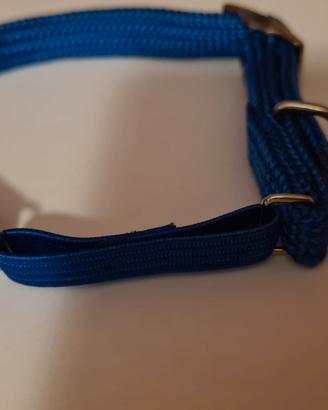 collarino con targhetta nuova