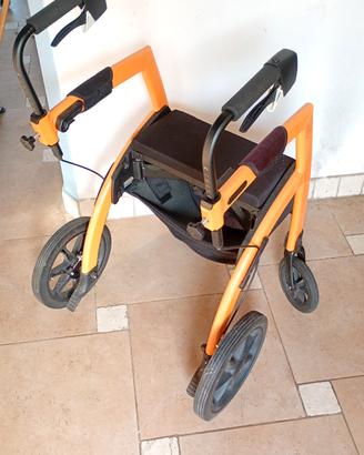 carrozzina 