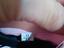 Immagine 2