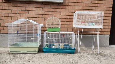 Gabbie per uccellini complete di accessori