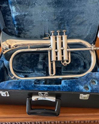 Flicorno Soprano Yamaha sib YFH - 731 Silver