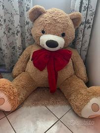 Peluche Teddy gigante
