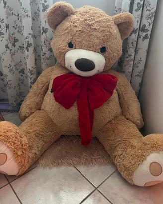Peluche Teddy gigante