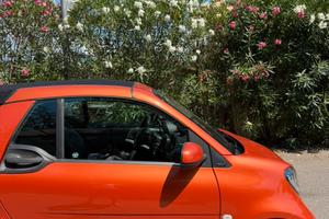 SMART FORTWO CABRIO 90 CV