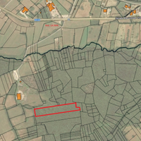 Terreno a bosco di castagno