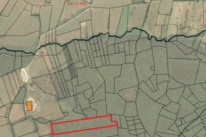 Terreno a bosco di castagno