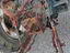 Immagine 6
