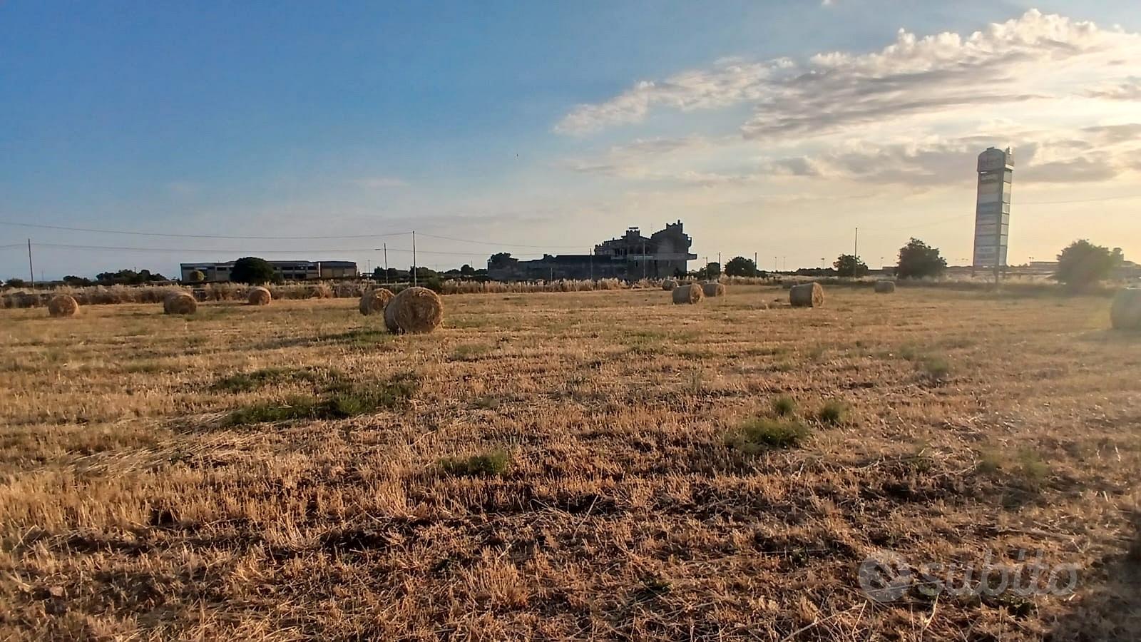 Terreno edificabile viale delle americhe - Vista 2