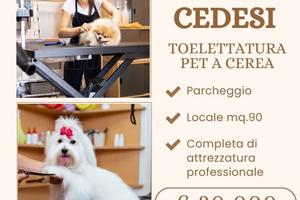 TOELETTATURA PET A CEREA (VR)