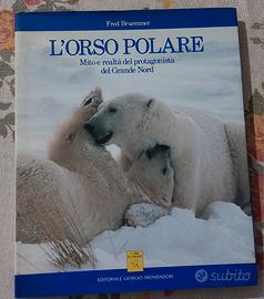L'orso polare