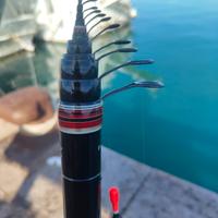 Daiwa amorphus bolognese