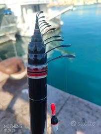 Daiwa amorphus bolognese