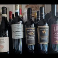 Vino vini Amarone della Valpolicella 