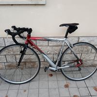 Bici da corsa Orbea Asphalt