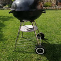 Barbecue a carbonella