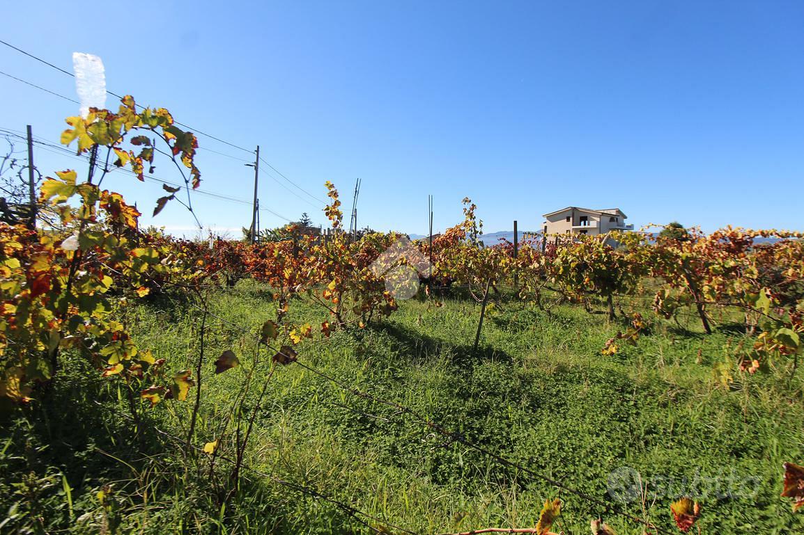 TER. AGRICOLO A REGGIO DI CALABRIA - Altro