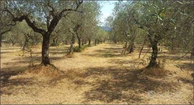 Terreno Agricolo a Sezze