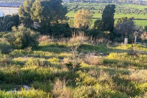 Terreno per villette a schiera con progetto