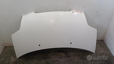 COFANO ANTERIORE KIA Picanto 1° Serie 6640007021