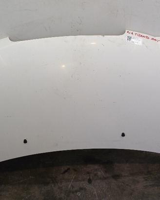 COFANO ANTERIORE KIA Picanto 1° Serie 6640007021