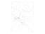 Immagine 21