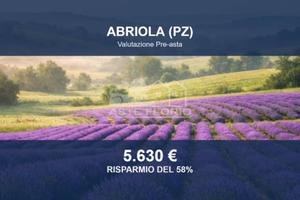Immobile in asta di 13347 m² a Abriola